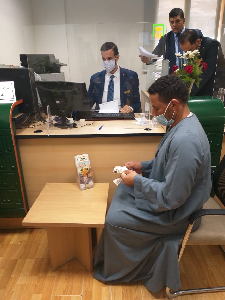 القطاع الخاص يفوز بمزادات على الأقطان في الفيوم وبني سويف