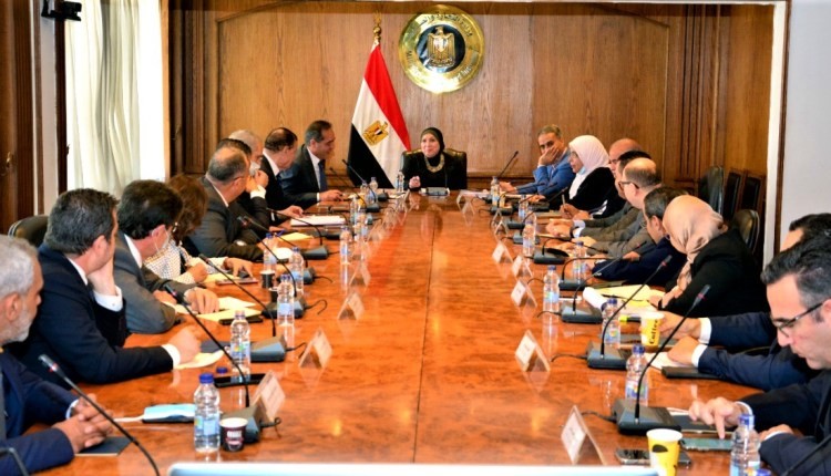 وزيرة التجارة تبحث مع المجالس التصديرية سبل تعزيز الصادرات المصرية للأسواق الخارجية