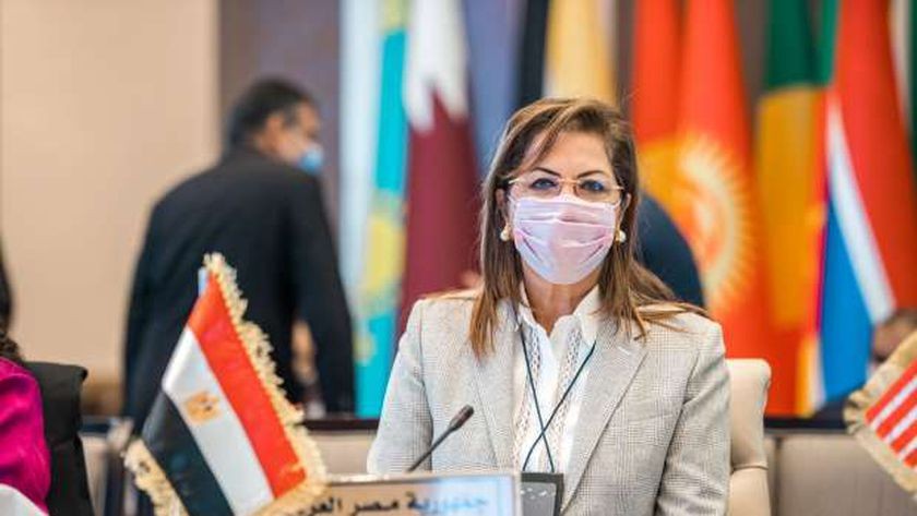 التخطيط: مصر تحصل على 63.6 نقطة بمؤشر أهداف التنمية المستدامة عربيا 2022